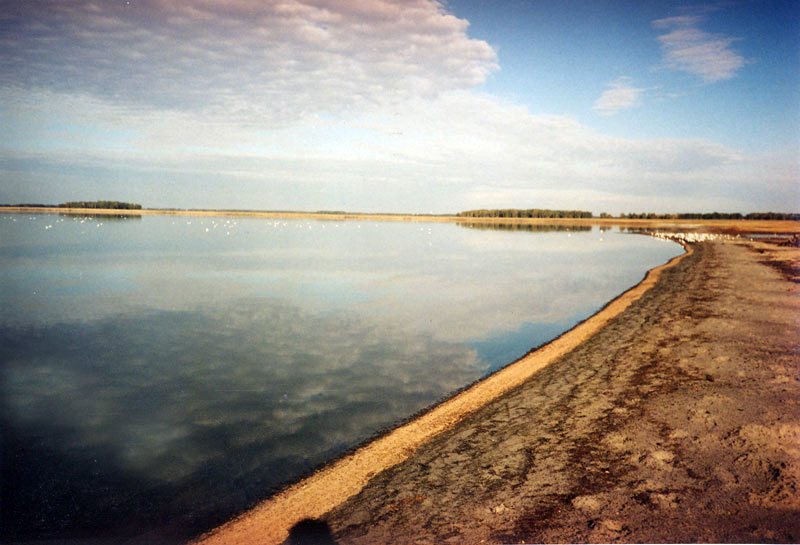 Панорама западной части озера Горькое
