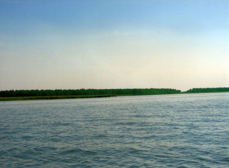 Общий вид южной окраины острова
