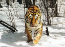Имя файла=t007~1.jpg
Размер файла=311КБ
Размеры=800x580
Дата=Март 22, 2011 t007~1.jpg