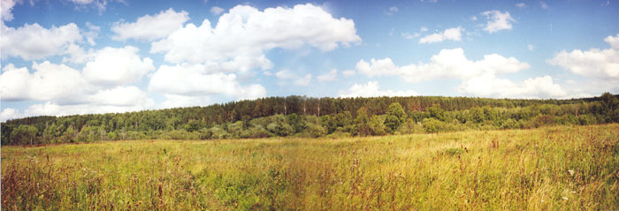 Панорама луга в пойме реки Ини в северной части памятника природы
