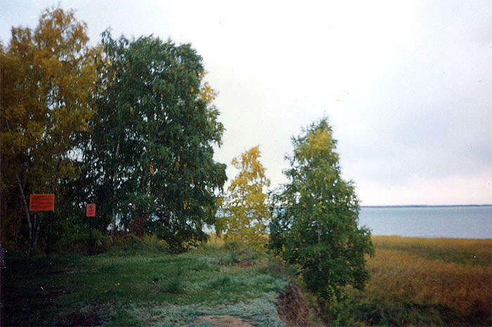 Центральная часть территории памятника природы "Казанцевский мыс"  с фрагментом сосново-березового и березово-дубового лесов
