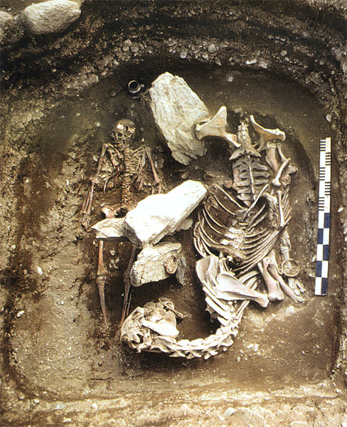 Погребение человека с конем - типичное захоронение древнетюркского времени на плоскогорье Укок
