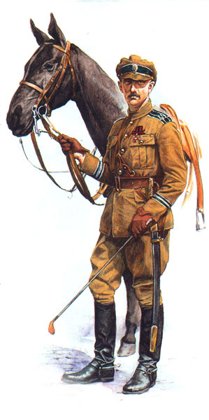 Полковник 49-го Сибирского стрелкового полка
